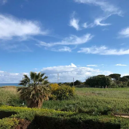 50 Meters From The Sea